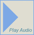 Play Audio